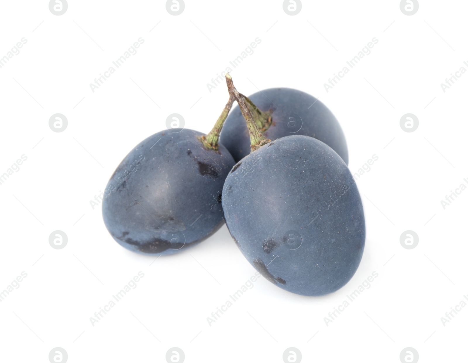 Photo of Delicious ripe dark blue grapes isolated on white