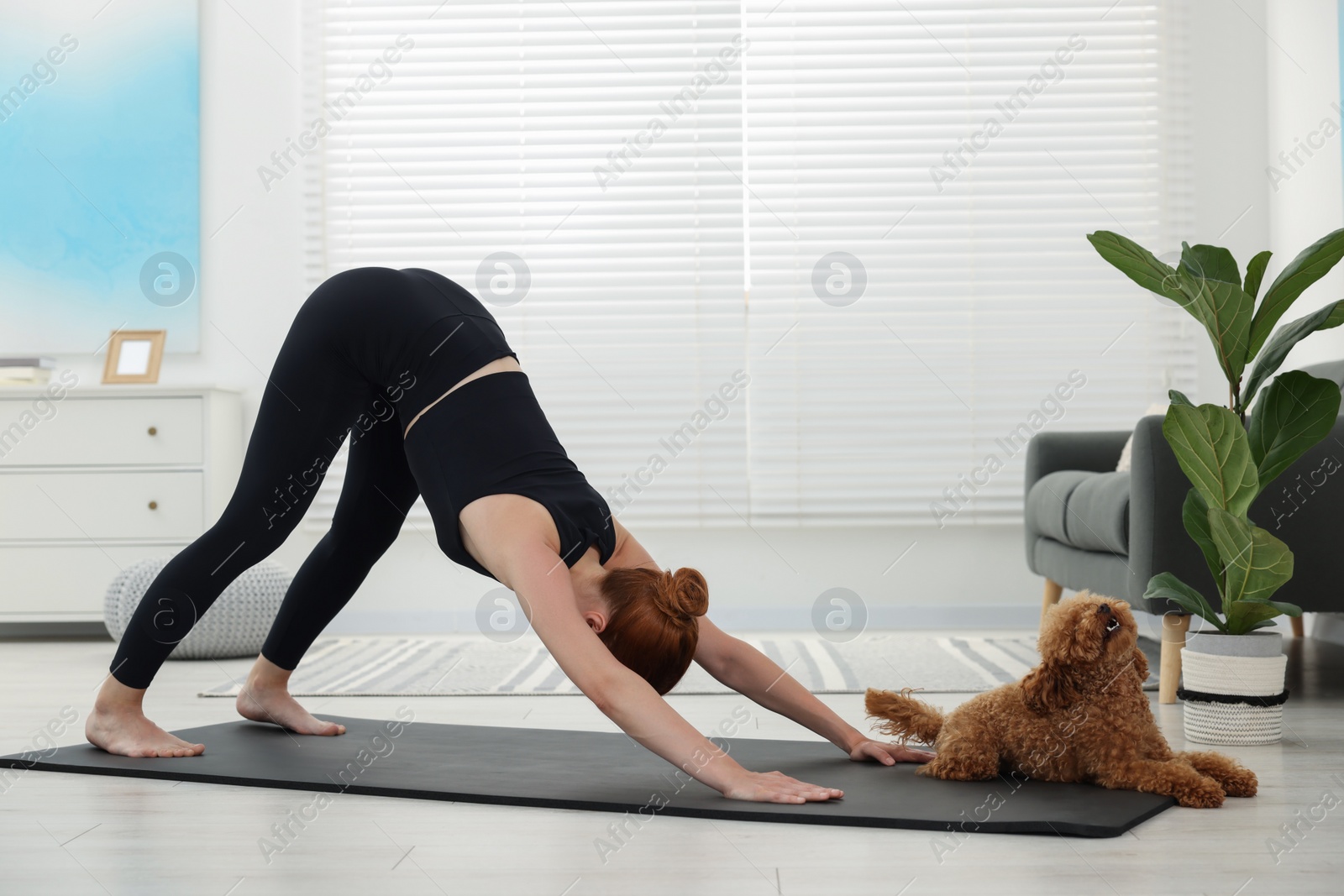 Photo of Young woman practicing yoga on mat with her cute dog at home