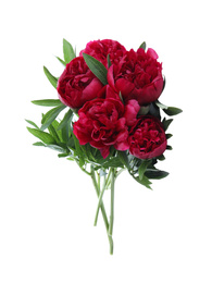 Photo of Bouquet of beautiful red peonies isolated on white