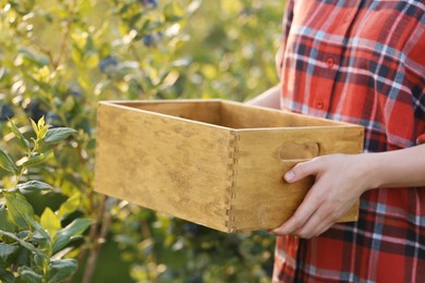 Photo of Woman holding wooden box near blueberries bush outdoors, closeup