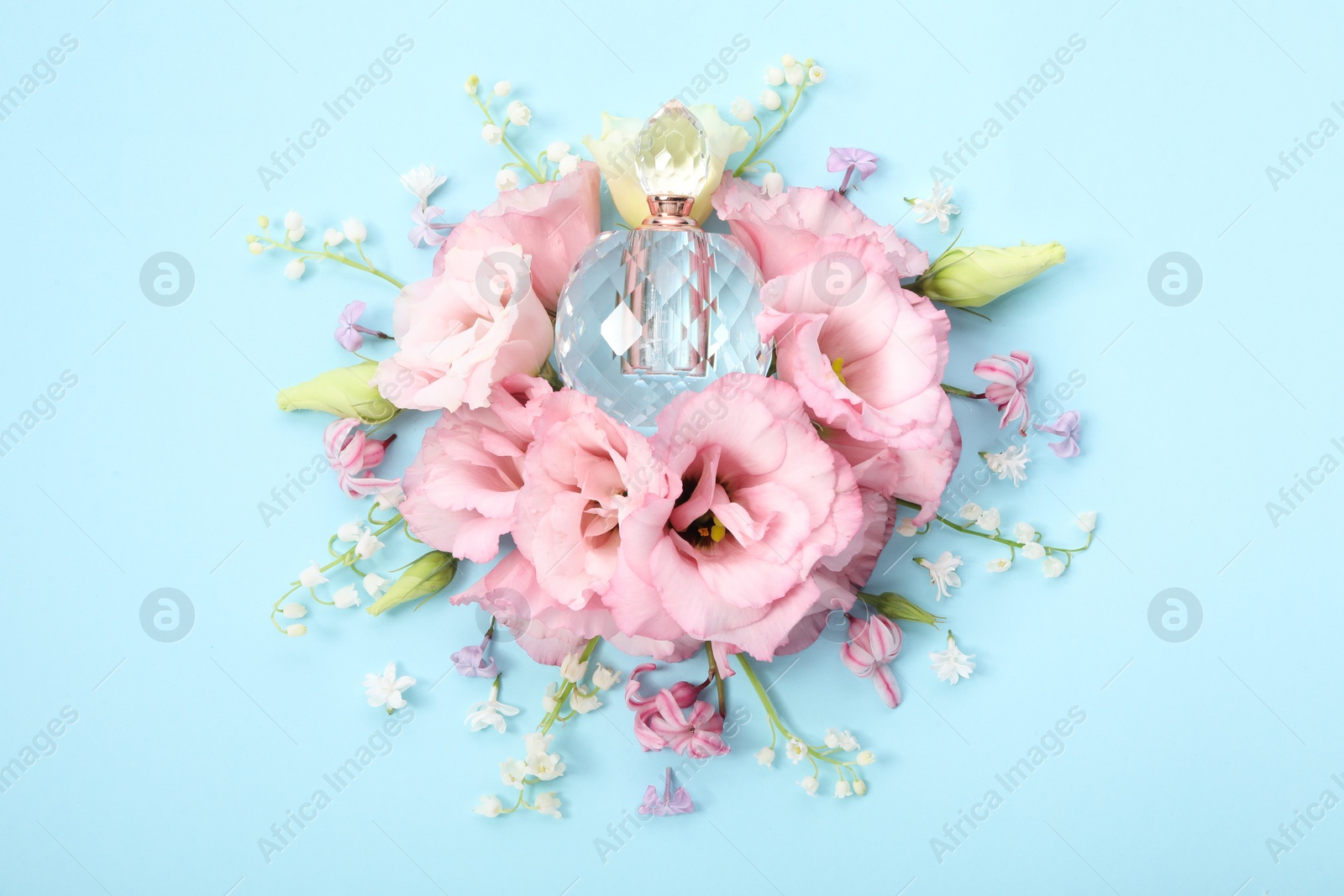 Photo of Luxury perfume and floral decor on light blue background, flat lay