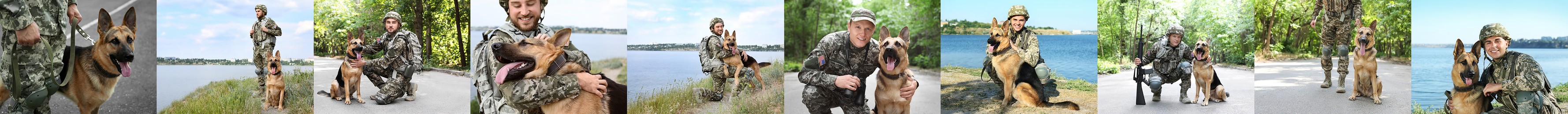 Collage with photos of people with service dogs, banner design