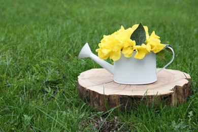 White watering can with beautiful yellow oenothera flowers on stump outdoors, space for text