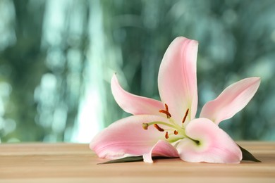 Photo of Beautiful pink lily flower on wooden table against blurred green background, space for text