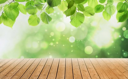 Image of Empty wooden surface and beautiful green leaves on blurred background. Bokeh effect