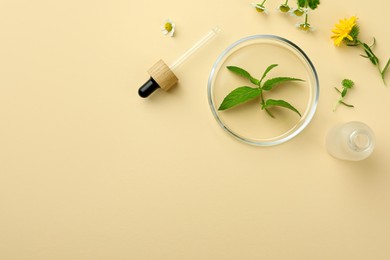 Flat lay composition with Petri dish and plants on beige background. Space for text