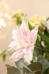 Photo of Beautiful lily flower against beige background with blurred lights, closeup