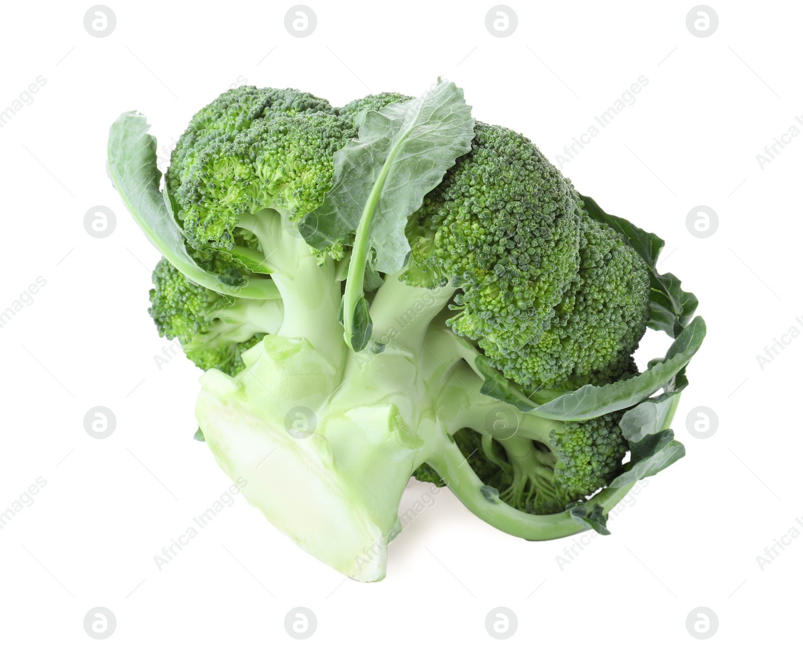 Photo of Fresh green broccoli isolated on white. Organic food