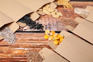 Many different vegetable seeds on wooden table, closeup