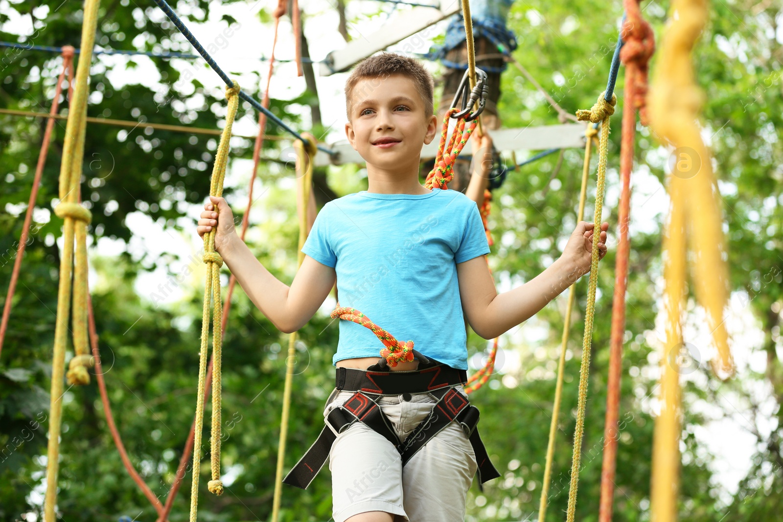 Photo of Little boy climbing in adventure park. Summer camp