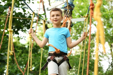 Little boy climbing in adventure park. Summer camp