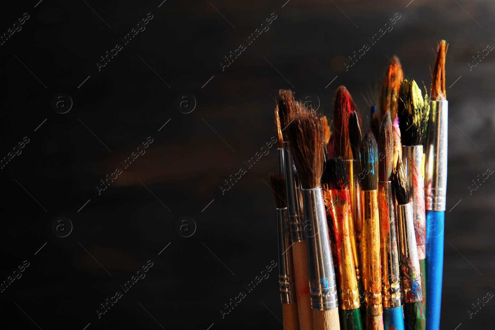 Photo of Different paint brushes on dark background, closeup. Space for text