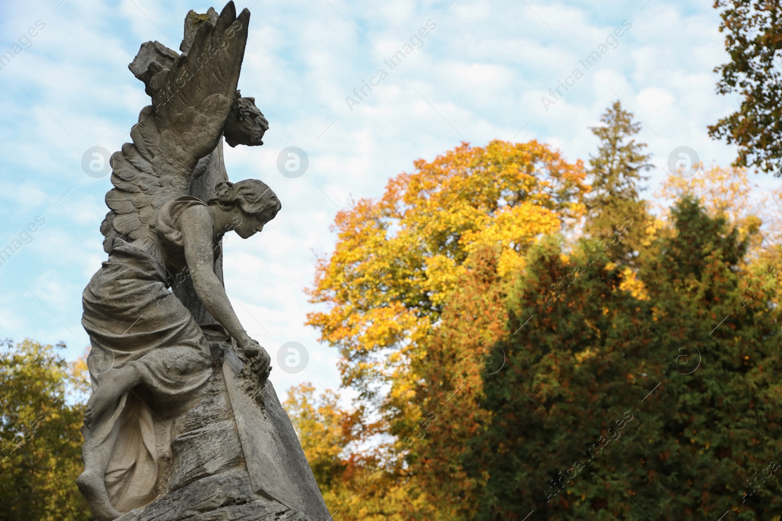 Photo of Beautiful statue of angel at cemetery, space for text. Funeral ceremony