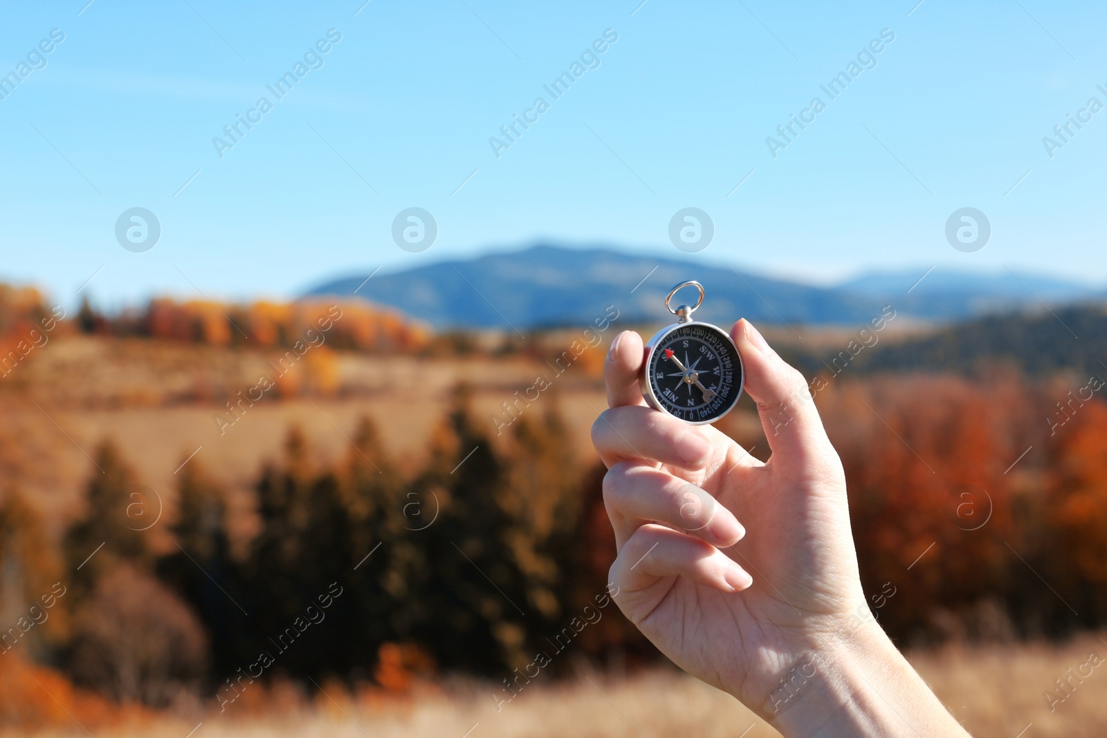 Photo of Traveler searching direction with compass in wilderness, closeup. Space for text