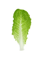 Photo of Fresh leaf of green romaine lettuce isolated on white