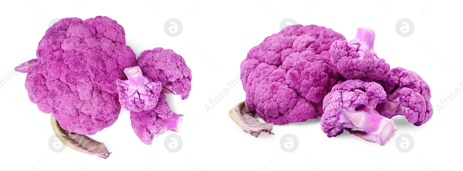 Image of Set with fresh purple cauliflowers on white background. Banner design