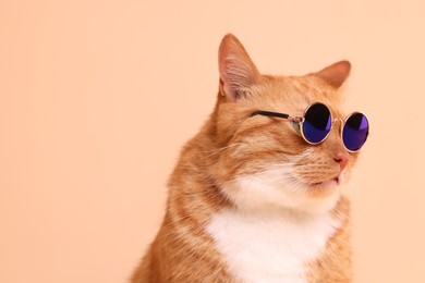 Photo of Portrait of cute ginger cat in stylish sunglasses on beige background. Space for text