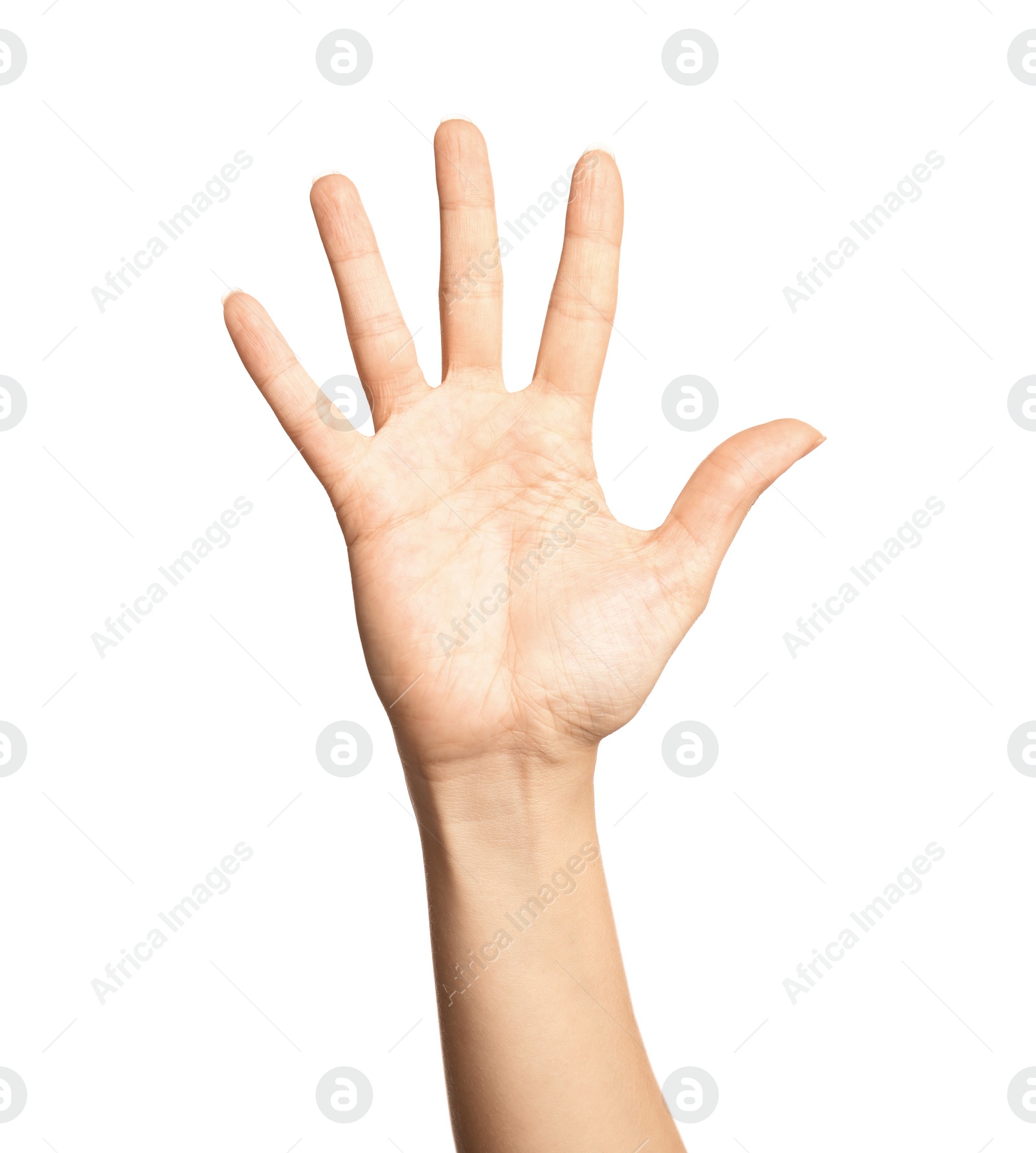 Photo of Woman showing number five on white background, closeup. Sign language