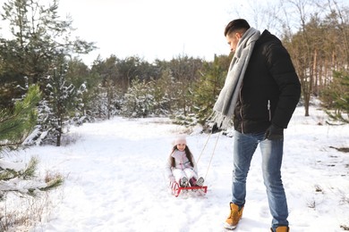 Father pulling sledge with his daughter outdoors on winter day. Christmas vacation