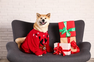 Photo of Cute Akita Inu dog in Christmas sweater near gift boxes on sofa