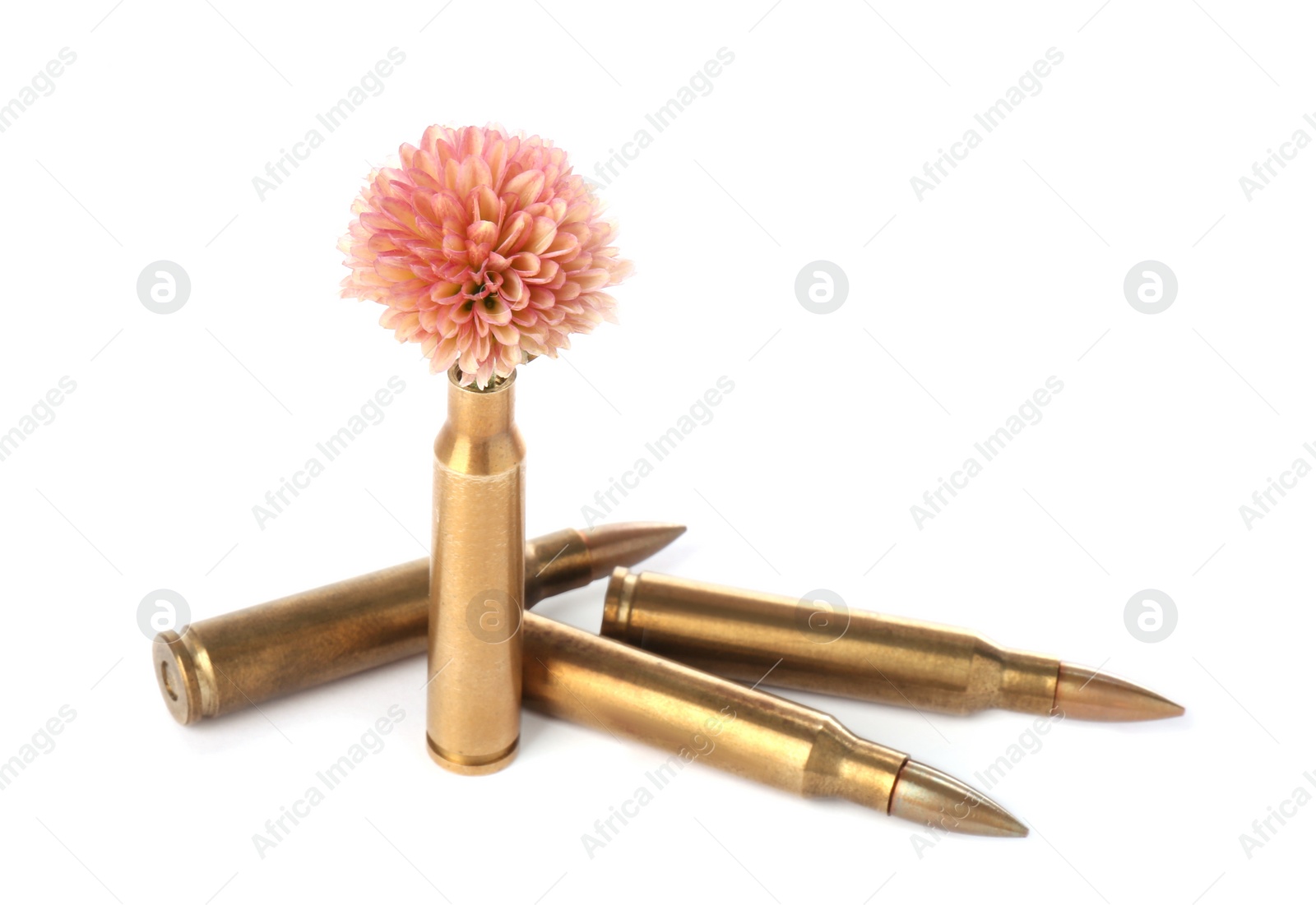 Photo of Bullets and cartridge case with beautiful flower isolated on white