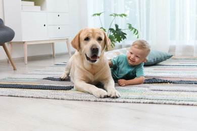 Adorable yellow labrador retriever and little boy at home