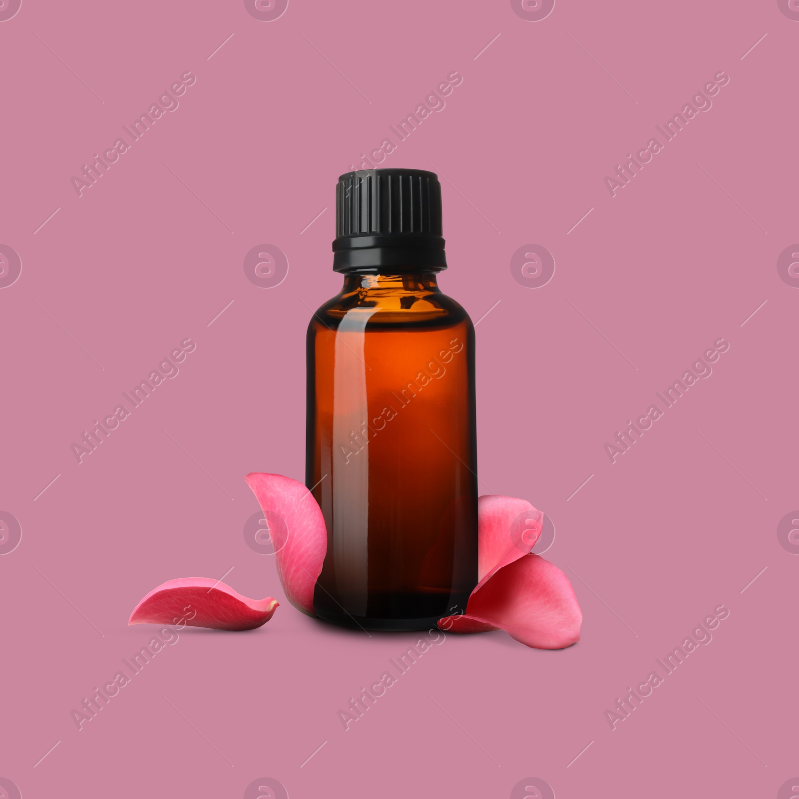 Image of Bottle of rose essential oil and flower petals on dusty pink background