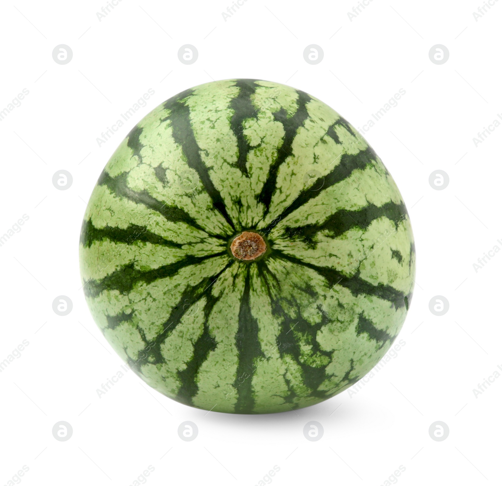 Photo of One whole ripe watermelon isolated on white