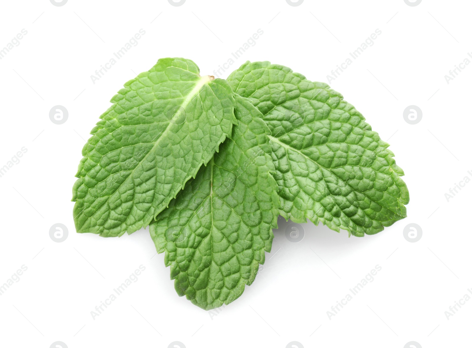 Photo of Fresh green mint leaves isolated on white, top view