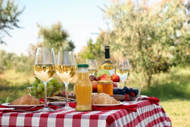 Picnic table with different tasty snacks and wine