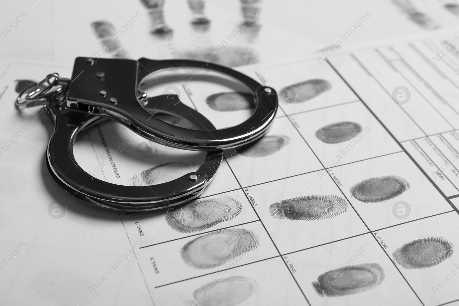 Photo of Police handcuffs and criminal fingerprints card, closeup