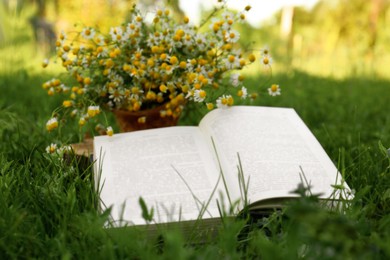 Open book and chamomiles on green grass outdoors, closeup