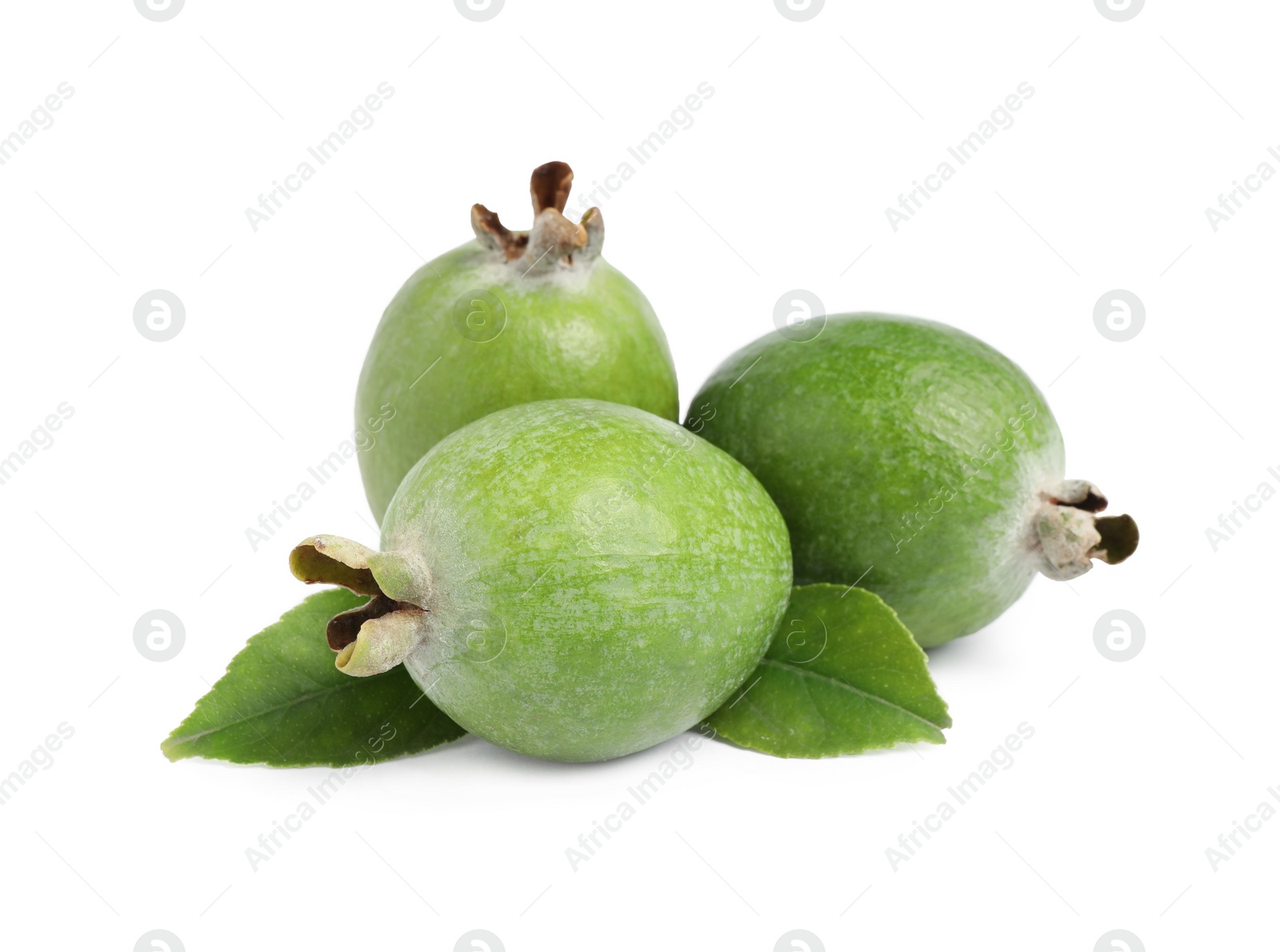 Photo of Fresh feijoa fruits with leaves on white background