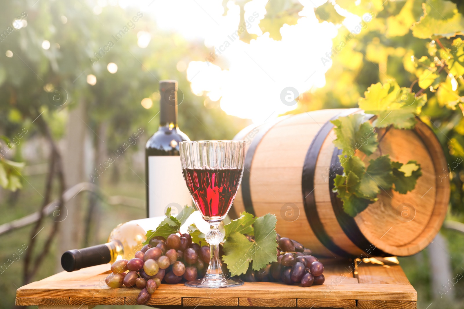 Photo of Composition with wine and ripe grapes on wooden table in vineyard