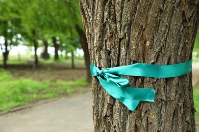 Teal ribbon tied to tree outdoors, space for text