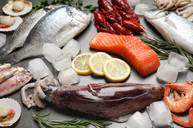 Photo of Fresh fish and seafood on grey table