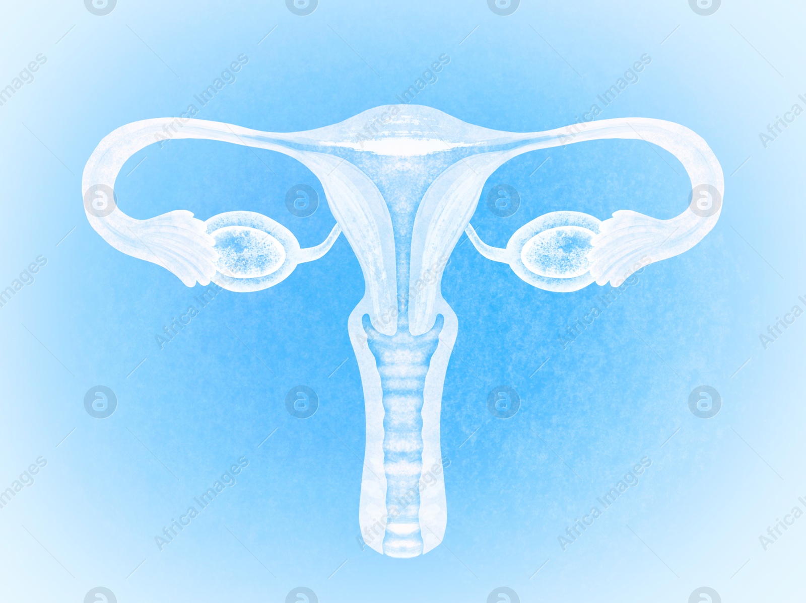 Image of Female reproductive system on light blue background, illustration