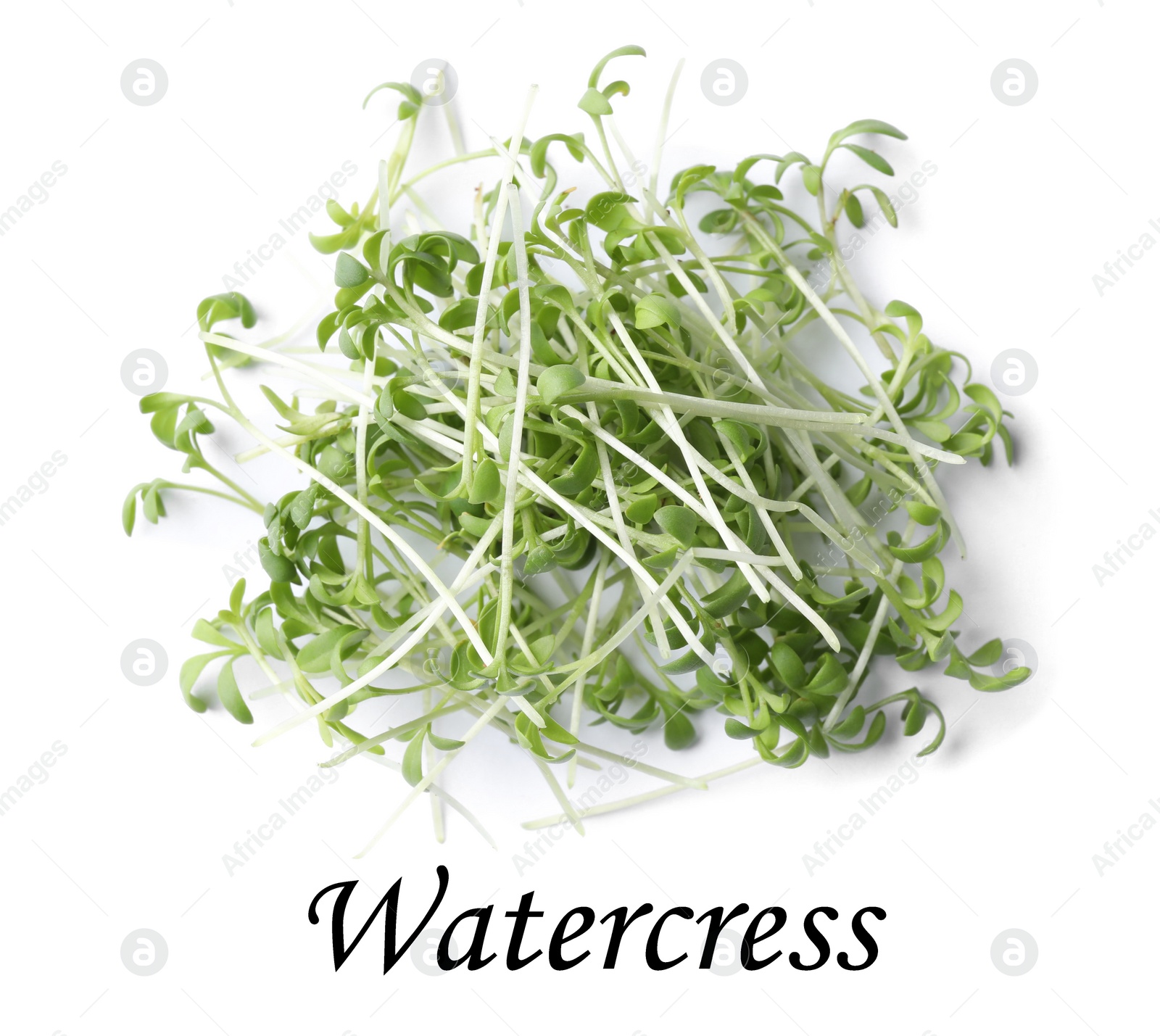 Image of Heap of fresh organic microgreen on white background, top view