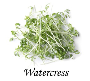 Image of Heap of fresh organic microgreen on white background, top view