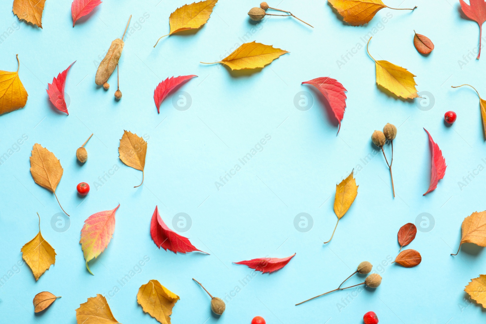 Photo of Flat lay composition with autumn leaves and space for text on color background