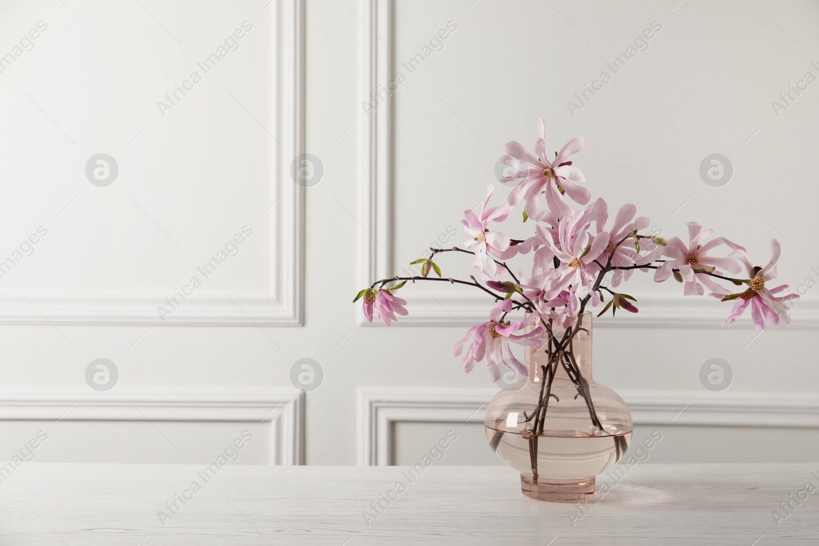 Photo of Magnolia tree branches with beautiful flowers in glass vase on white wooden table, space for text