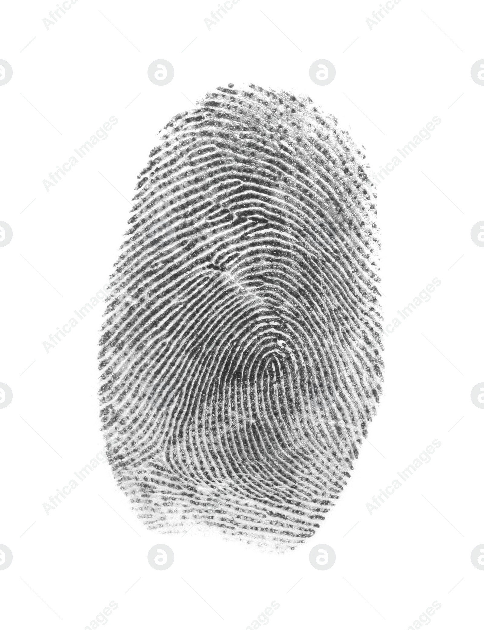 Photo of Black fingerprint made with ink on white background