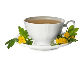 Photo of Cup of aromatic celandine tea and flowers on white background