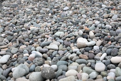 Photo of Many different pebbles as background, closeup view
