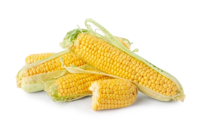 Photo of Ripe raw corn cobs on white background