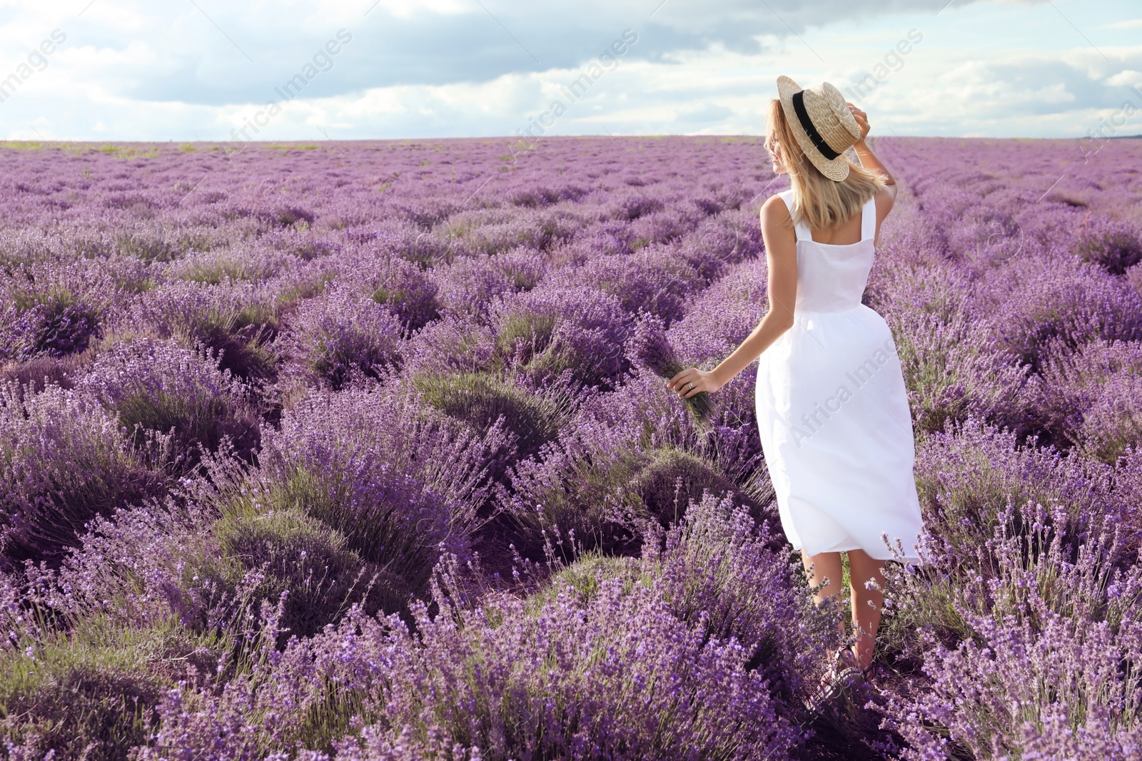 Photo of Young woman with bouquet in lavender field