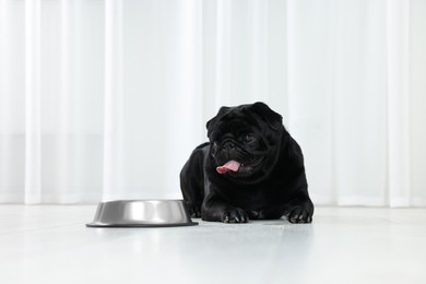 Cute Pug dog eating from metal bowl in room, space for text