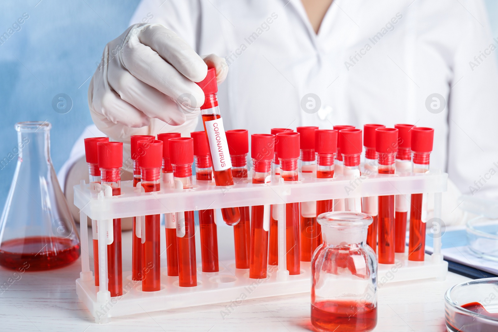 Photo of Scientist taking test tube with blood sample and label CORONA VIRUS from rack in laboratory, closeup