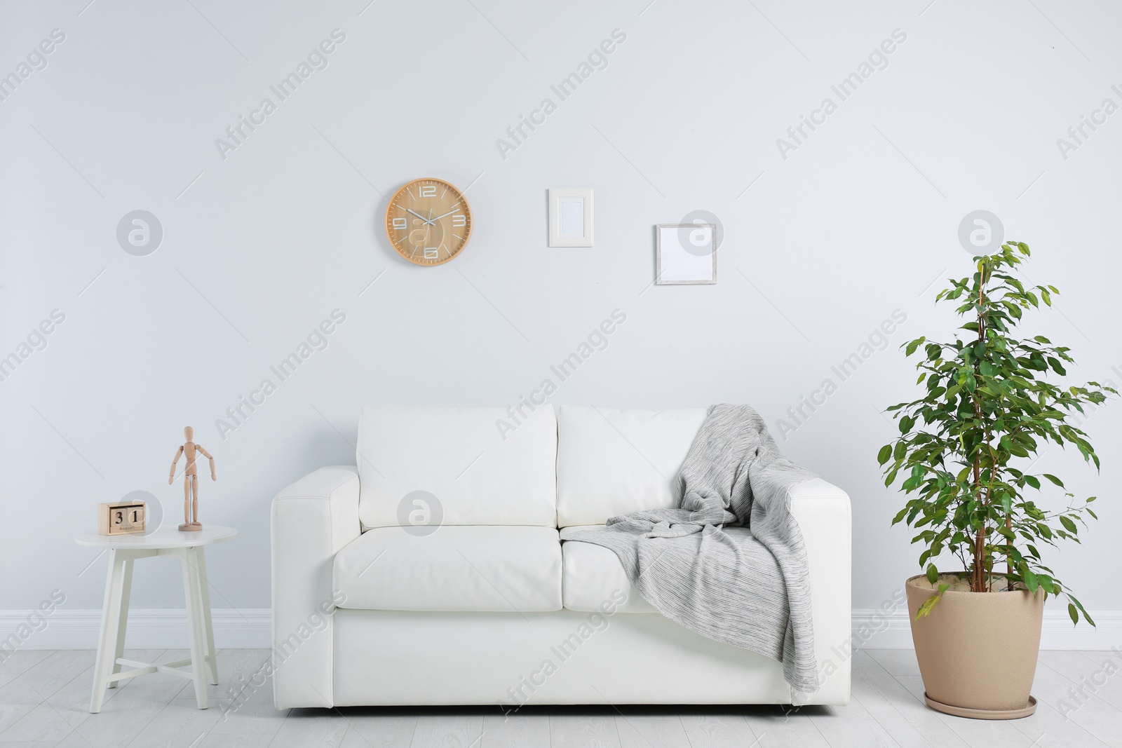 Photo of Stylish living room interior with sofa and houseplant near white wall