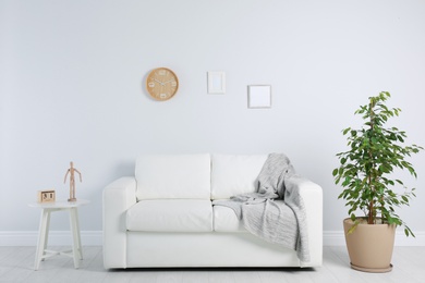 Photo of Stylish living room interior with sofa and houseplant near white wall